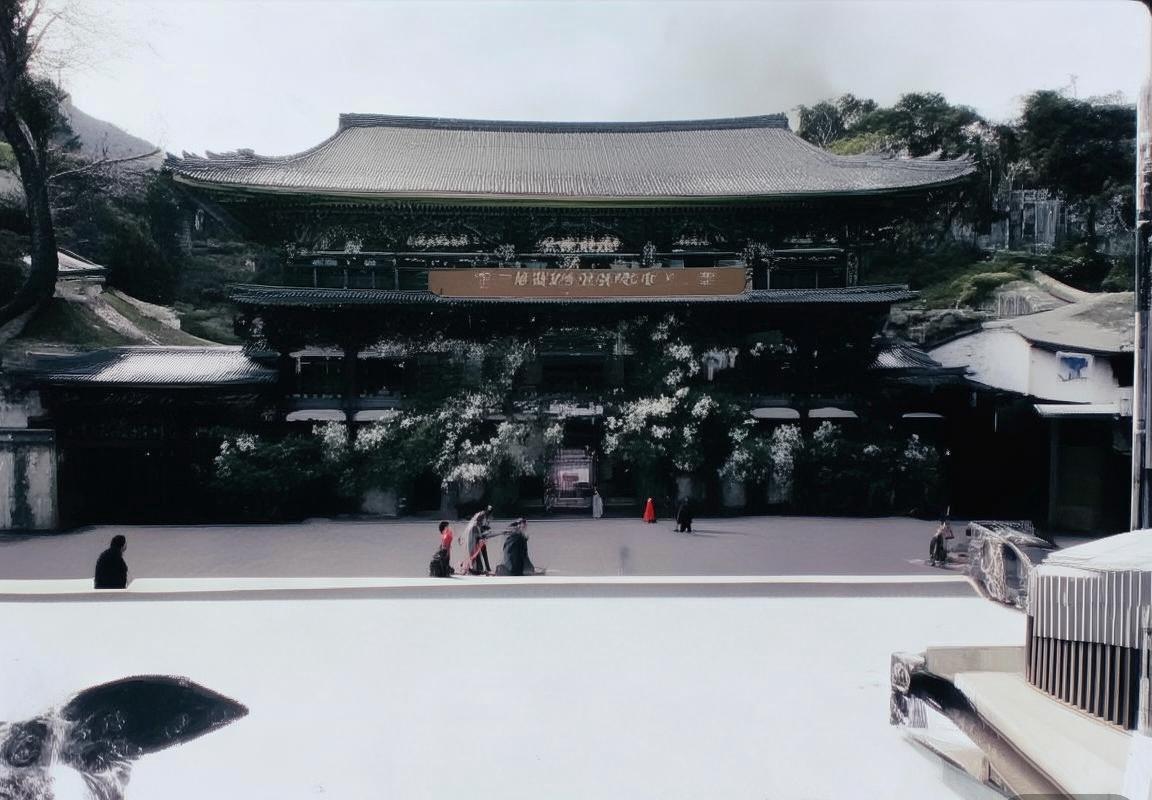 恩德里克：从巴西青训新星到世界足球明日之星的成长之路(图3)